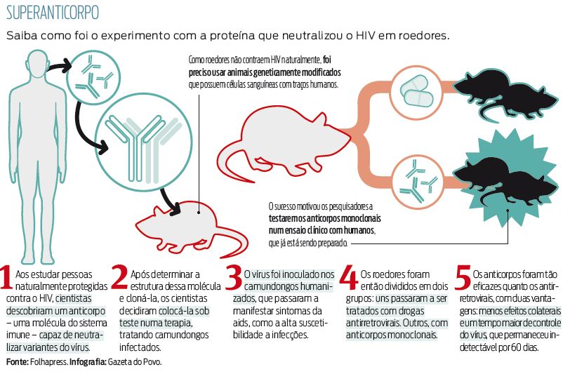 Saiba como foi o experimento com a proteína queneutralizou o HIV em roedores |