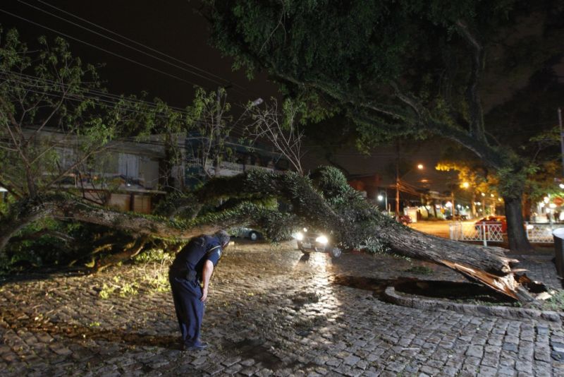 Queda de árvore foi registrada na Avenida Manoel Ribas, próximo ao Restaurante Madalosso | Daniel Castellano/ Gazeta do Povo