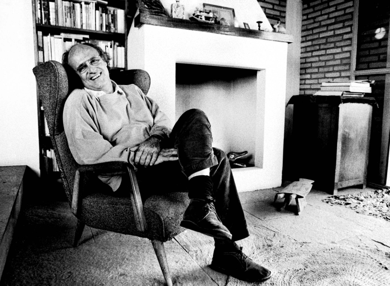 O poeta Francisco Alvim, convidado da próxima edição do Paiol Literário. | Divulgação