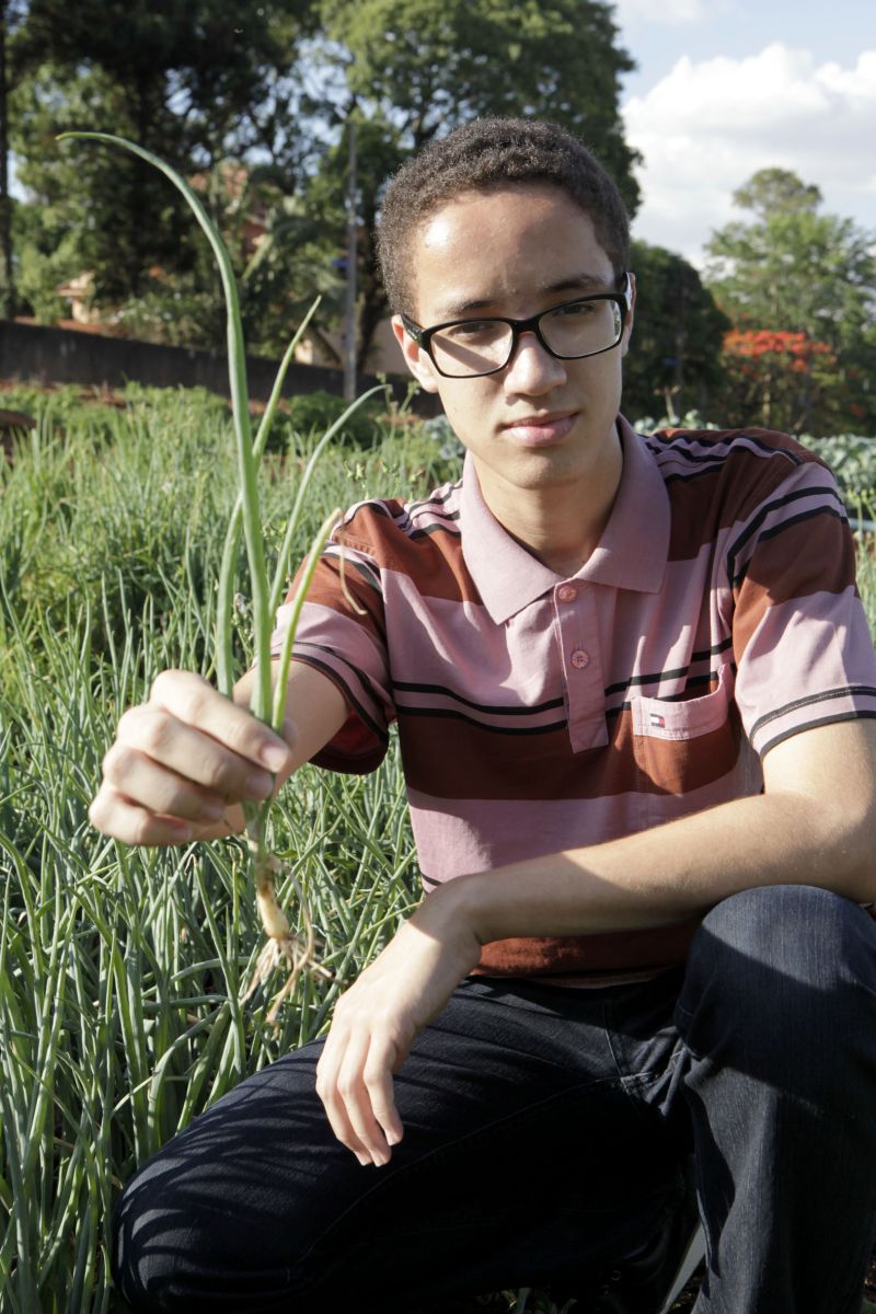 Clayton Queiroz, com um pé de cebolinha: muita pesquisa antes de planejar o negócio | Ivan Amorim/Gazeta Maringá