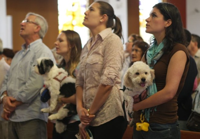 Benção dos animais ocorre em 13 horários |