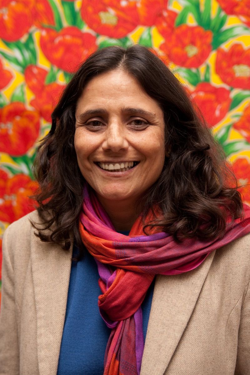 Vera Masagão, da ONG Ação Educativa: rede de computadores representa um dos enigmas da leitura | Divulgação