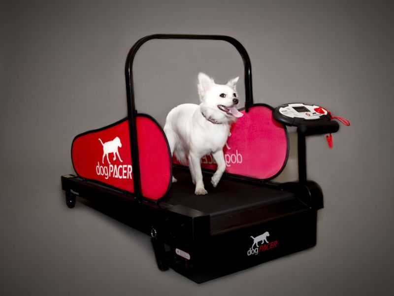 | Daria Artsybasheva/Reuters