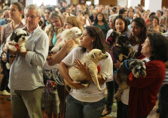 A comemoração antecipada é pelo dia de São Francisco de Assis, que será na quinta-feira (4) |