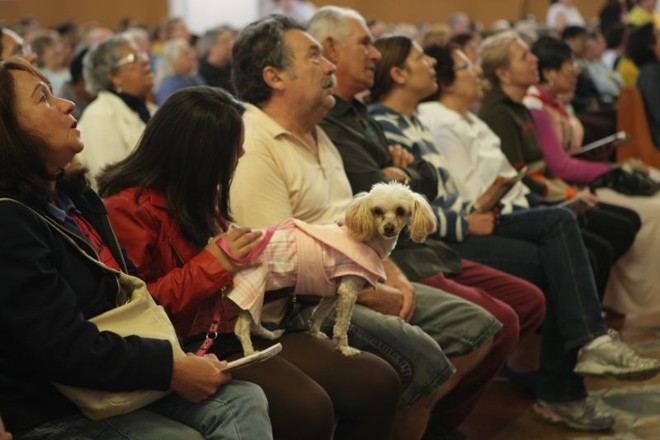 Cachorros foram predominantes entre os animais abençoados nesta quarta-feira |