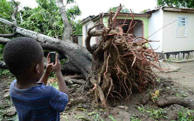 Garoto na Jamaica tira foto de árvore derrubada pelos ventos do furacão Sandy, durante sua passagem pelo Caribe. No Haiti, ao menos 26 pessoas morreram | EFE/Rudolph Brown