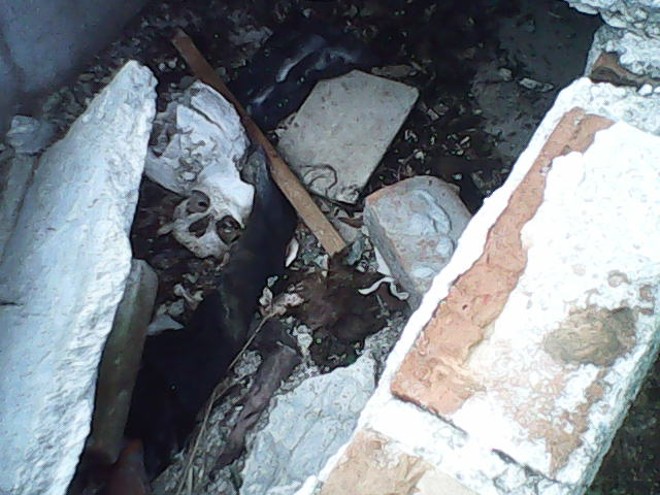 Tumba aberta deixa restos mortais à mostra | 