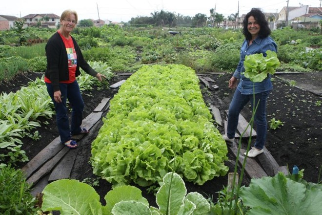 Rose Mari e Vanilde se tornaram agricultoras urbanas depois de entrar para a horta da Comunidade Vitória Régia | Aniele Nascimento/ Gazeta do Povo