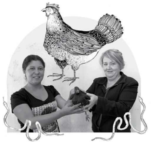  | Foto: Roberto Dziura  Arte: Felipe Lima