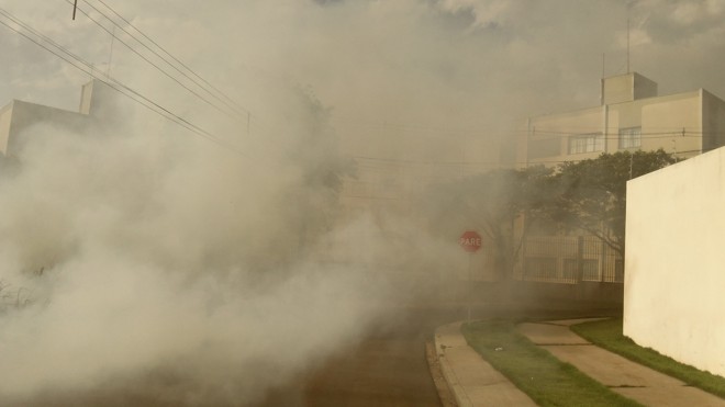 Segundo moradores da região, não é a primeira vez que o terreno pega fogo | 