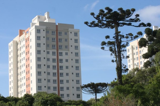 Araucária com mais de 1,5 metro e 50 centímetros de diámetro no terreno dá direito a abatimento de 10% no imposto municipal |