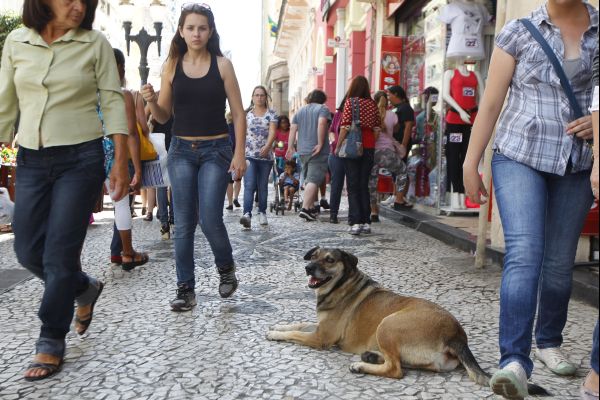 | Daniel Castellano/ Gazeta do Povo