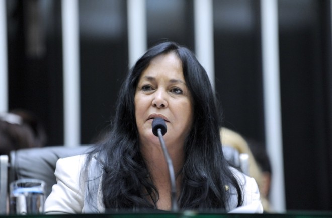 Rose de Freitas (PMDB-ES), vice-presidente da Câmara dos Deputados |