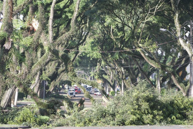 Bloqueio na Av. Getúlio Vargas nesta terça-feira | Aniele Nascimento/Agência de Notícias Gazeta do Povo