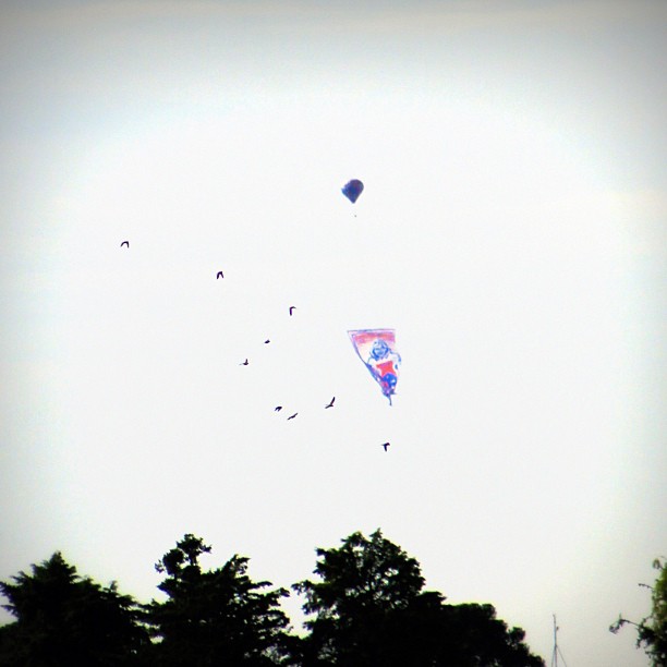 Balão fotografado por Ingrid Helga Weldt Gulin na manhã desta quarta-feira | Ingrid Helga Weldt Gulin/ Divulgação