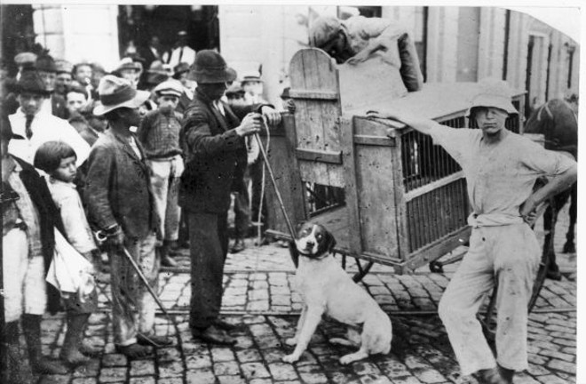Um tipo de autoridade foi entregue pela prefeitura para jovens carentes: caçar cães vadios. Tais servidores eram mal vistos pela população, principalmente a infantil. Foto 1930 |