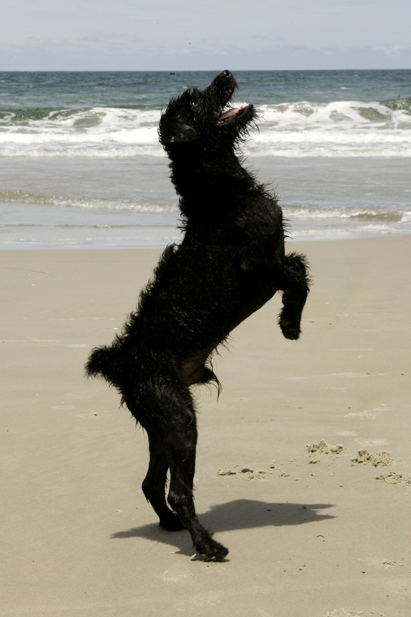 Alunos e professores da UFPR estão envolvidos na ação | Antônio More/Gazeta do Povo