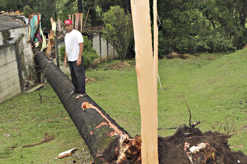 Vento empurrou trator contra árvore, que caiu e atingiu a residência da família Cordeiro | Roberto Dziura Jr/Gazeta do Povo