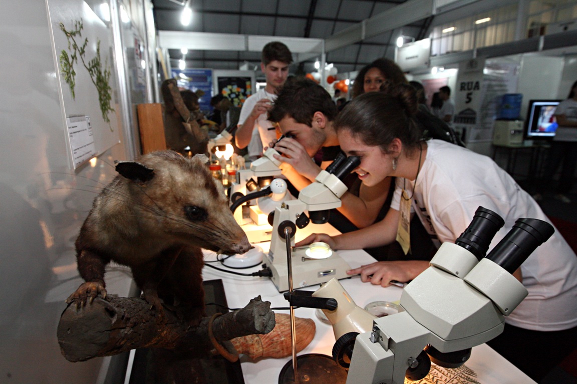 Cerca de 38 mil estudantes visitaram a feira de profissões da UFPR neste ano | Felipe Rosa / Gazeta do Povo