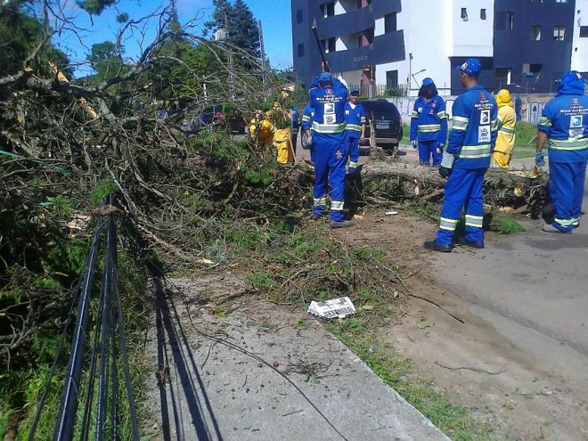 Na Rua Nicarágua, fios foram derrubados por uma árvore que ainda bloqueia parcialmente a rua na manhã desta segunda-feira (10) | 