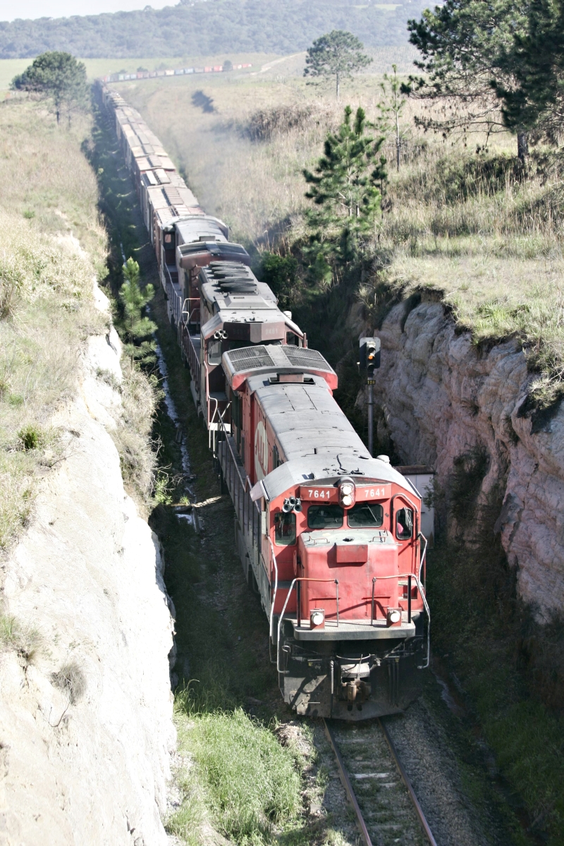 Trem da ALL em Porto Amazonas, nos Campos Gerais: parceria ampliada com a Cattalini | Aniele Nascimento/ Gazeta do Povo