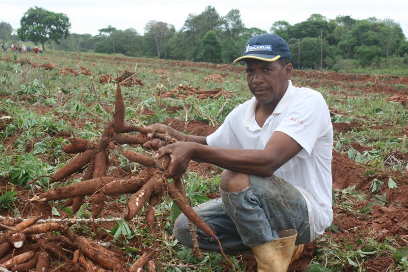 Soares recupera confiança na cultura em ano bom de preço | Osmar Nunes/gazeta Do Povo