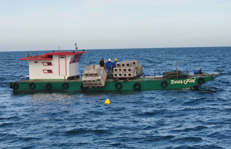 Os recifes artificiais são transportados de navio e atirados no mar: proteção e ajuda à reprodução de espécies | Juliano Dobis