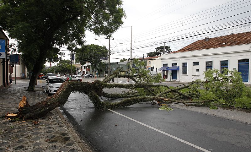 | Marcelo Elias/ Gazeta do Povo