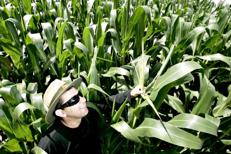 Dosagem das chuvas está irregular, diz Márcio Novatzki | Josue Teixeira/gazeta Do Povo