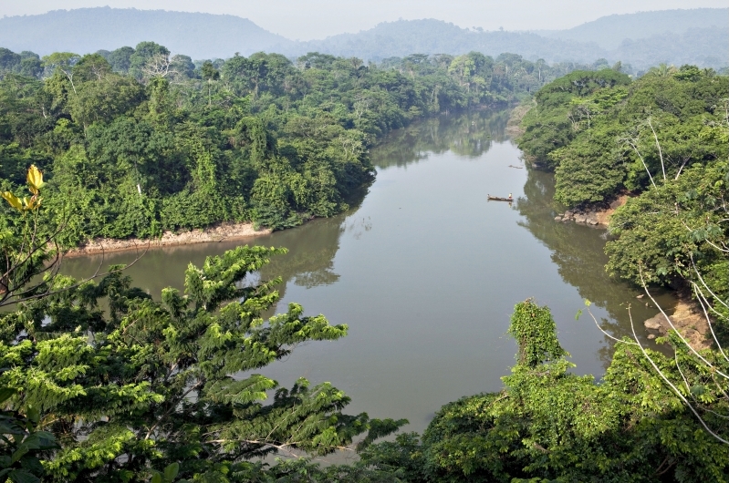 Esforços para conter o desmatamento batem de frente contra aumento da migração na região, ligada principalmente à mineração | Lalo de Almeida
