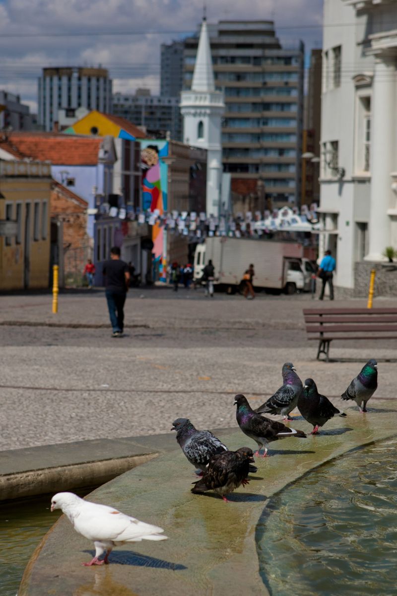 | Gilberto Abelha / Gazeta do Povo