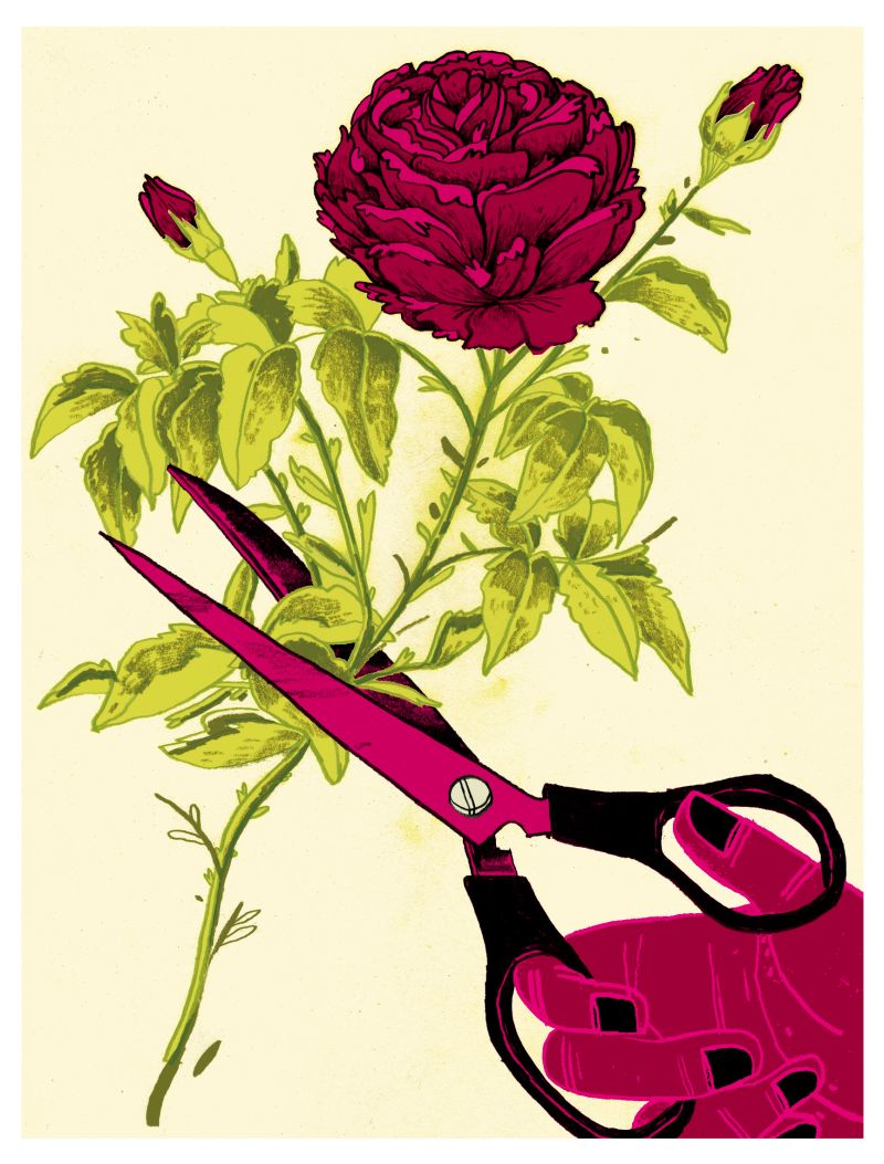 | Ilustração: Felipe Lima