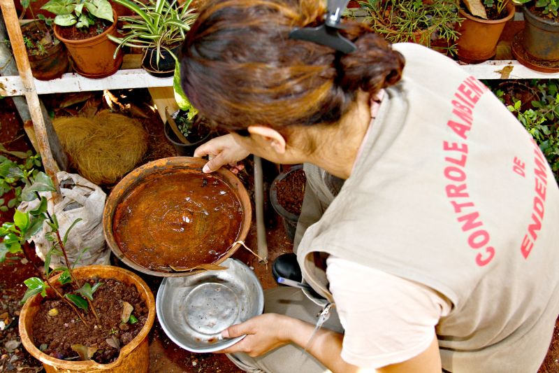 Cerco ao mosquito melhorou o cenário em Londrina | Roberto Custodio/ Jornal de Londrina