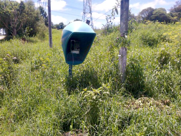 | Colaboração de leitor