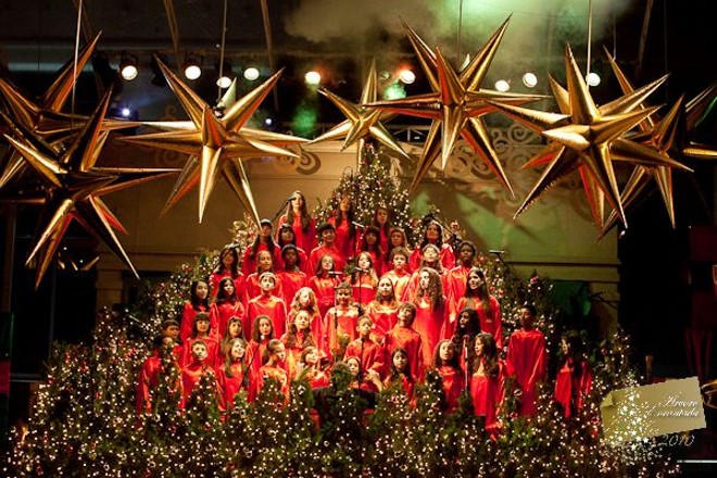 Espetáculo Árvore Encantada, realizado em frente ao Hotel Radisson, na Praça do Japão | 