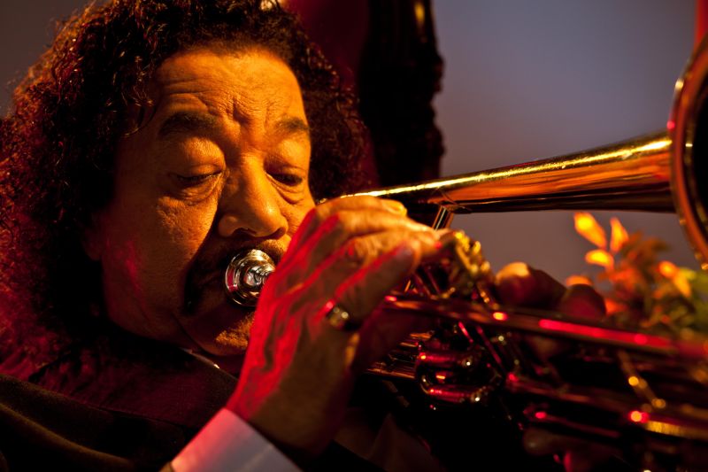 Raul lembra alguns dos personagens importantes de sua carreira, como Nelson Cavaquinho e Altamiro Carrilho | Sílvio Aurichio/Divulgação