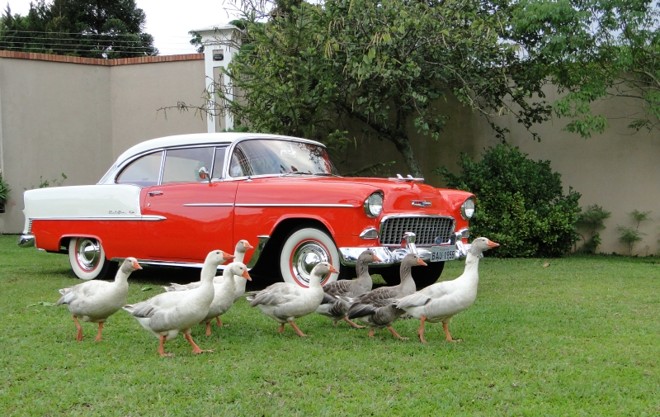 Abril: Chevrolet Bel Air Sport Coupe 1955 |