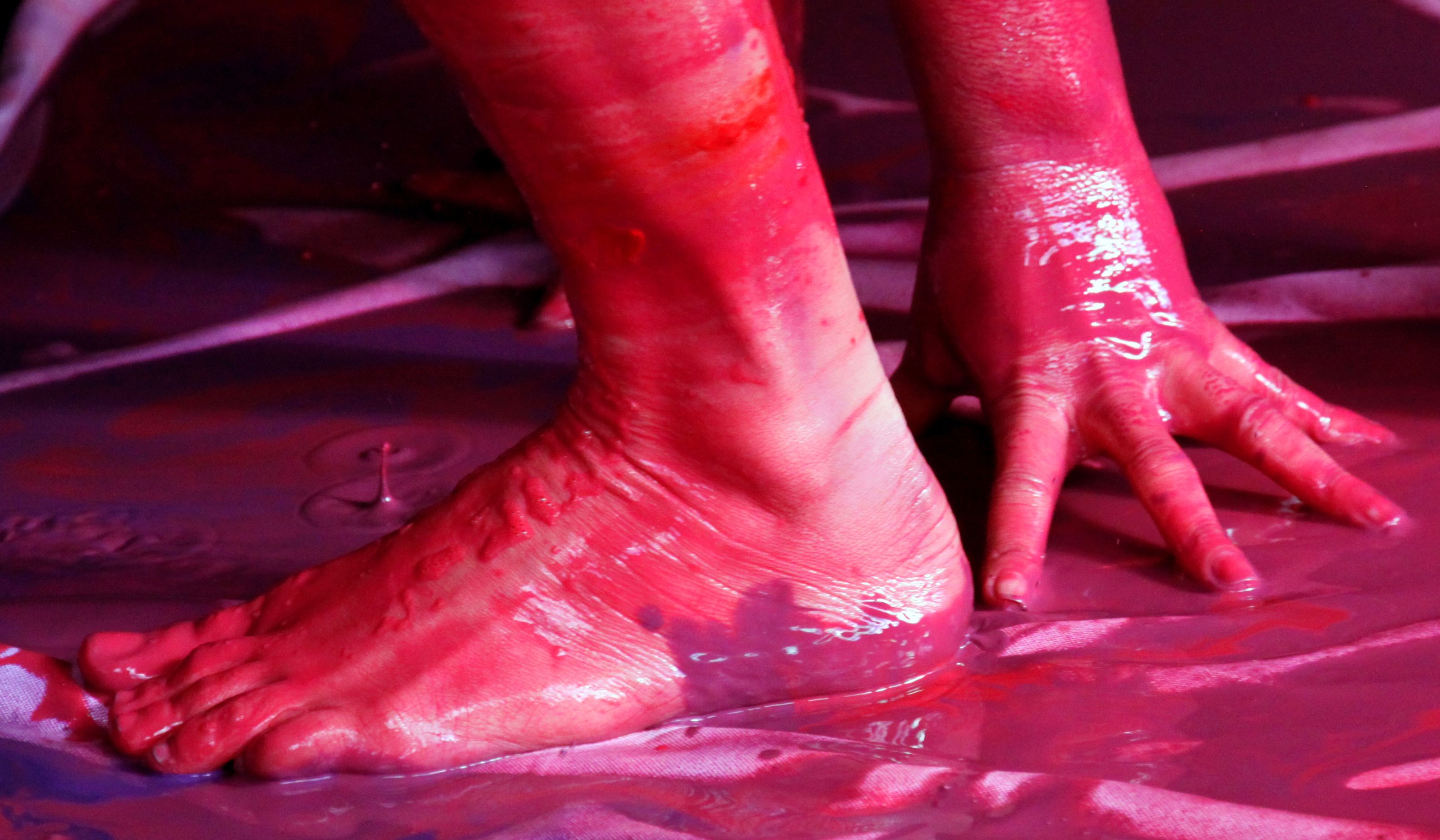 | Eleuthério Netto/Divulgação