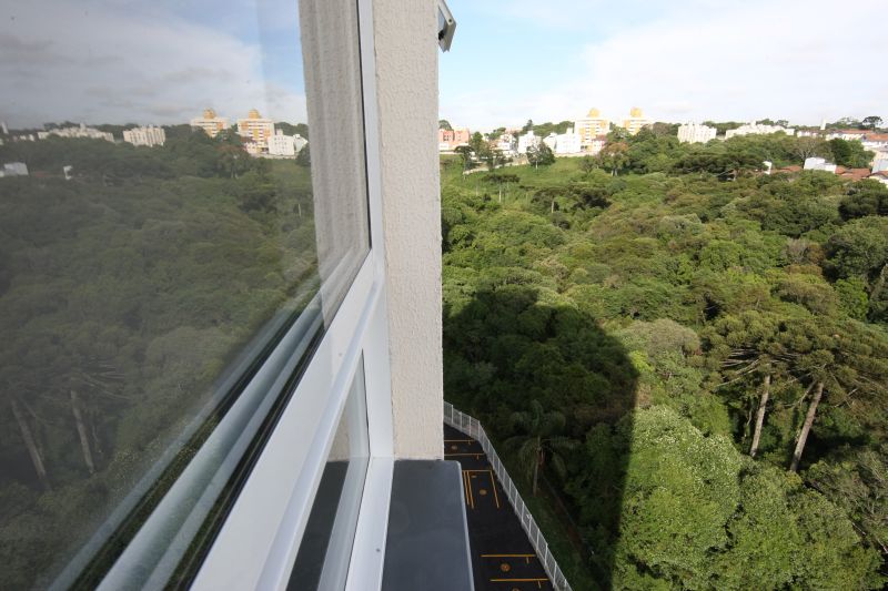 Segundo estudo, 15% da Mata Atlântica restante no Brasil pode desaparecer até 2030 | Aniele Nascimento/ Gazeta do Povo