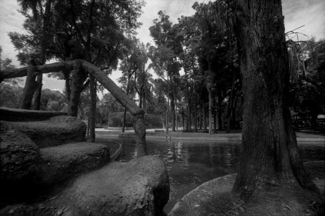 Uma escada de pedra típica do Passeio Público |