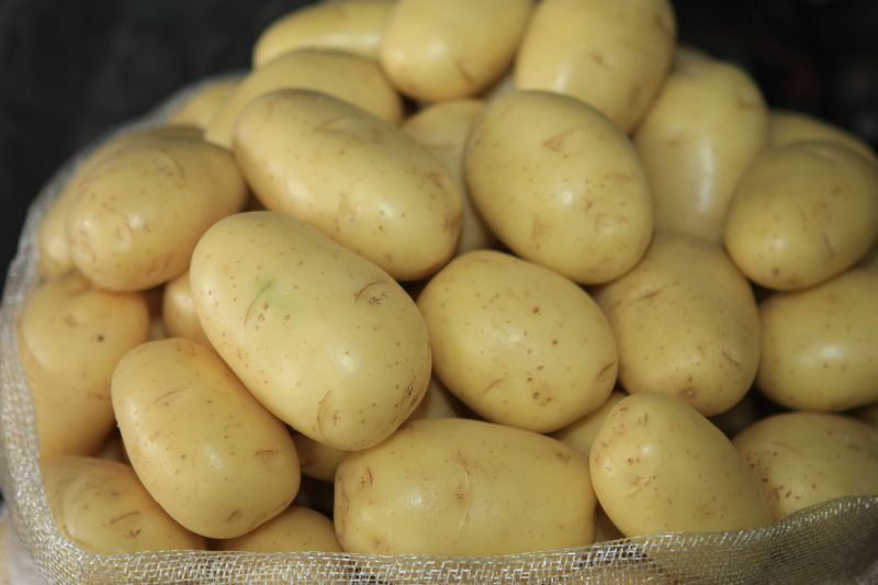 A batata, com queda de 10% no preço, ajudou a amenizar custo da alimentação em dezembro | Aniele Nascimento/ Gazeta do Povo