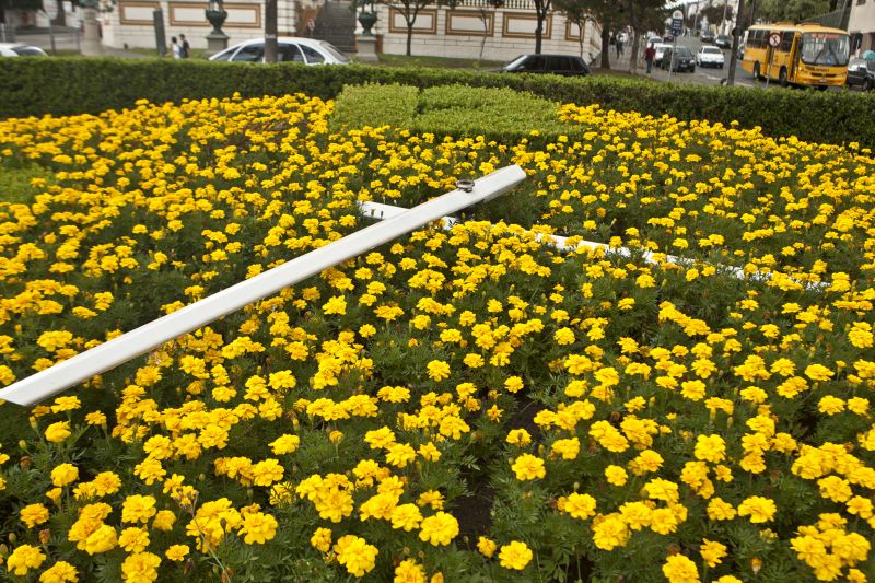 | Marcelo Andrade/ Gazeta do Povo