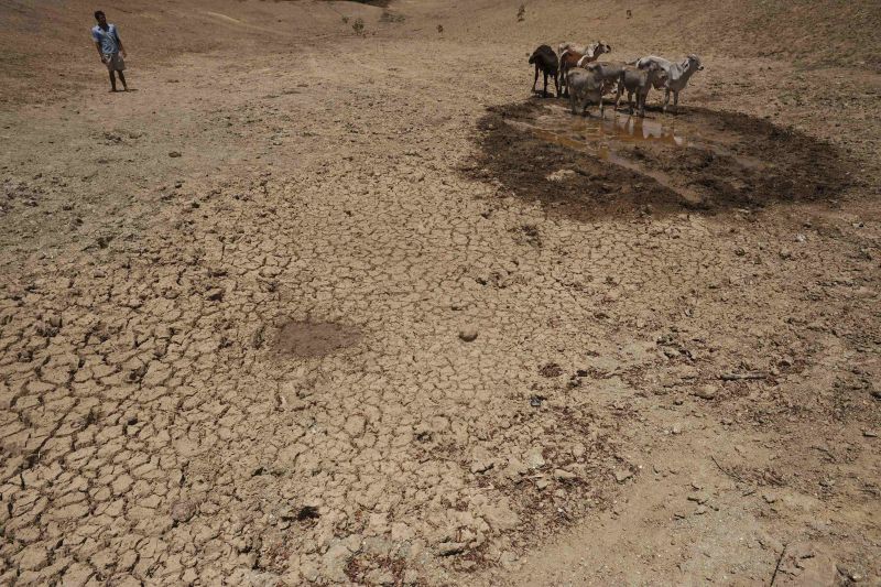 | Lunae Parracho/ Reuters