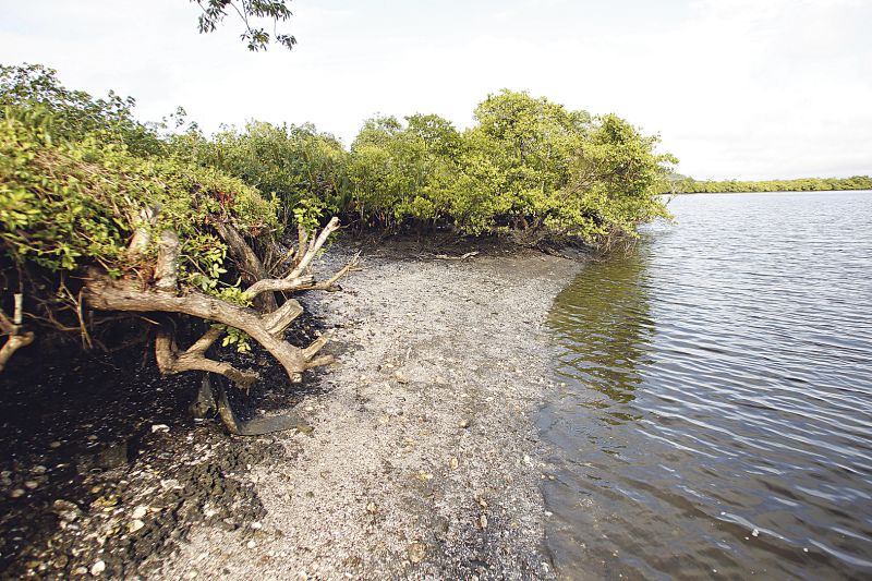 Sambaqui na margem do Rio das Laranjeiras, na Baía de Guaratuba: relíquias de outro tempo | Albari Rosa/ Gazeta do Povo