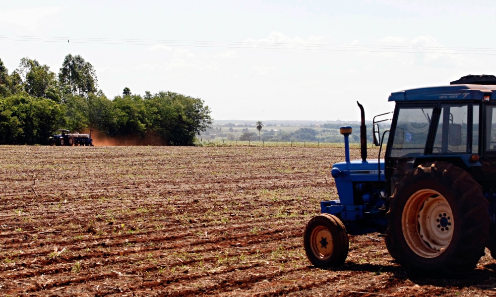 Produtores mato-grossenses se preparam para dar a largada com o plantio da oleaginosa a partir de segunda-feira (15). | Christian Rizzi/gazeta Do Povo