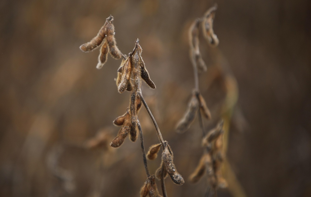 | Jonathan Campos/gazeta Do Povo