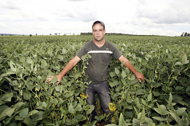 Luiz Fernando Ehlers testa sistema de integração, que é adotado para recuperar pastagem mas, nesta safra, rende mais que a pecuária. | 