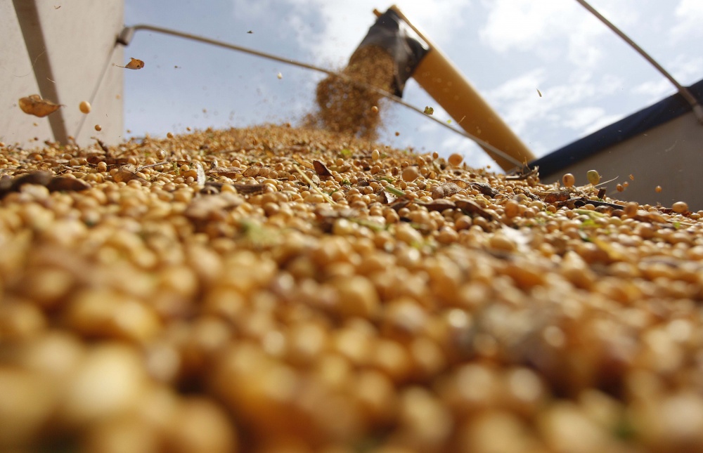 Após colher safra cheia, produtores paranaenses elaboram estratégias de venda. Estado ainda tem 30% da produção do verão para negociar. | Jonathan Campos/gazeta Do Povo