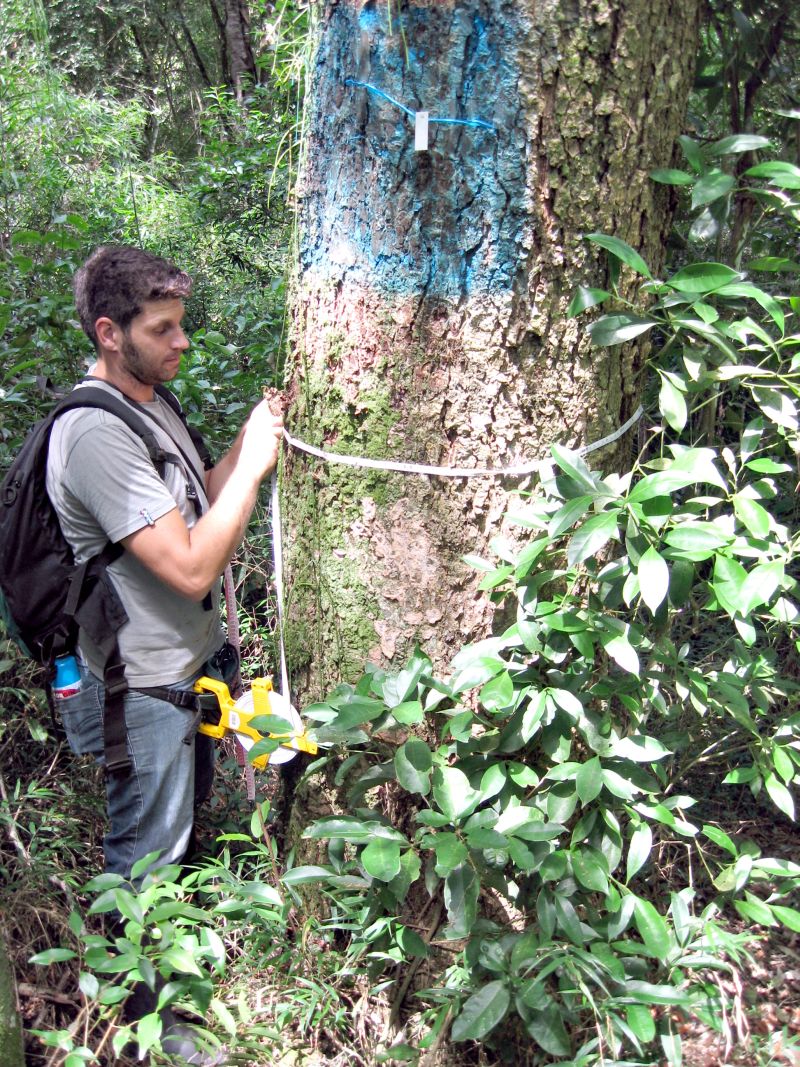 Pesquisador Pablo Hoffmann marca um dos achados | Sociedade Chauá/ Divulgação