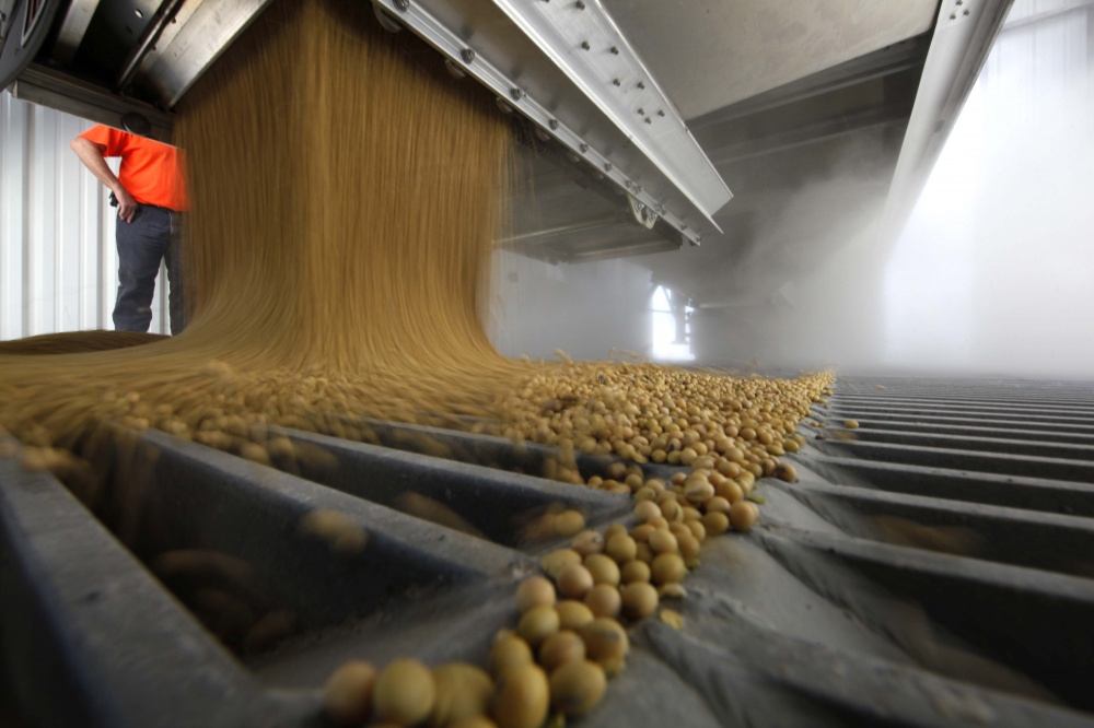 No Paraná, o produto perdeu seis pontos porcentuais da valorização acumulada no último ano. | Jonathan Campos / Gazeta Do Povo